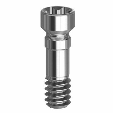 Screw for BLX   - 19.054