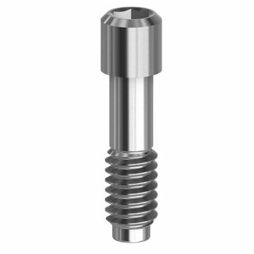 Final Screw - 19.057